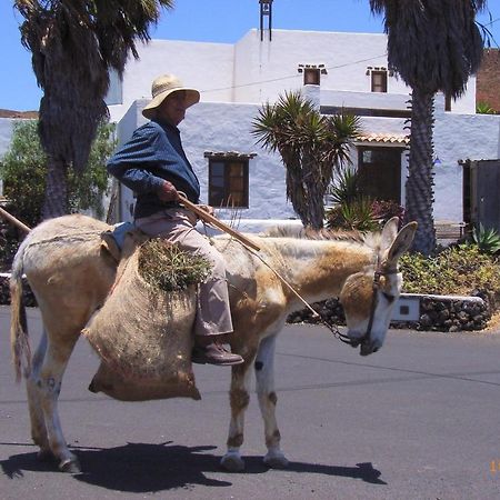 Finca Lanzarosy Guatiza ภายนอก รูปภาพ